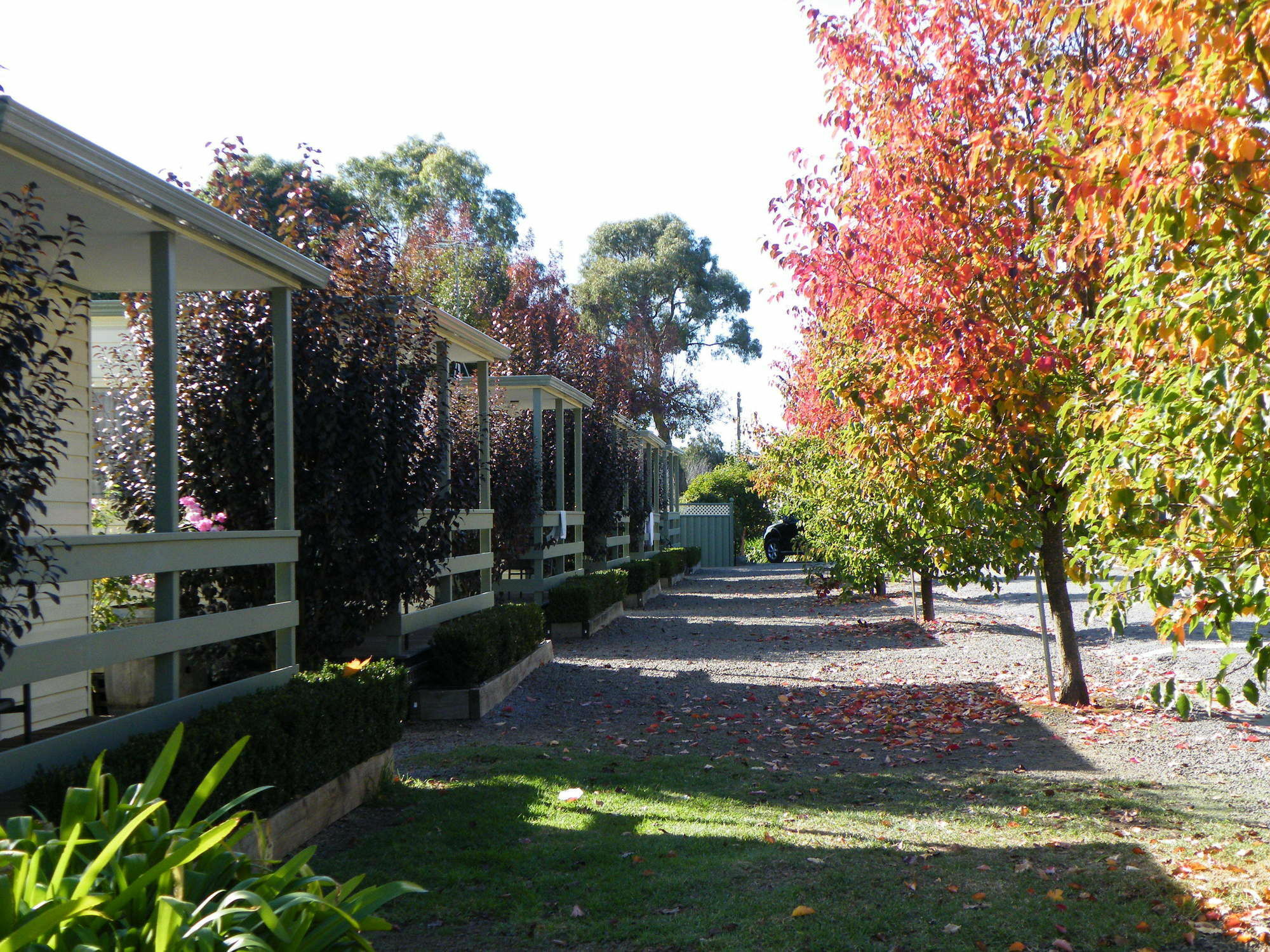 Lake Hamilton Motor Village And Caravan Park Exteriér fotografie