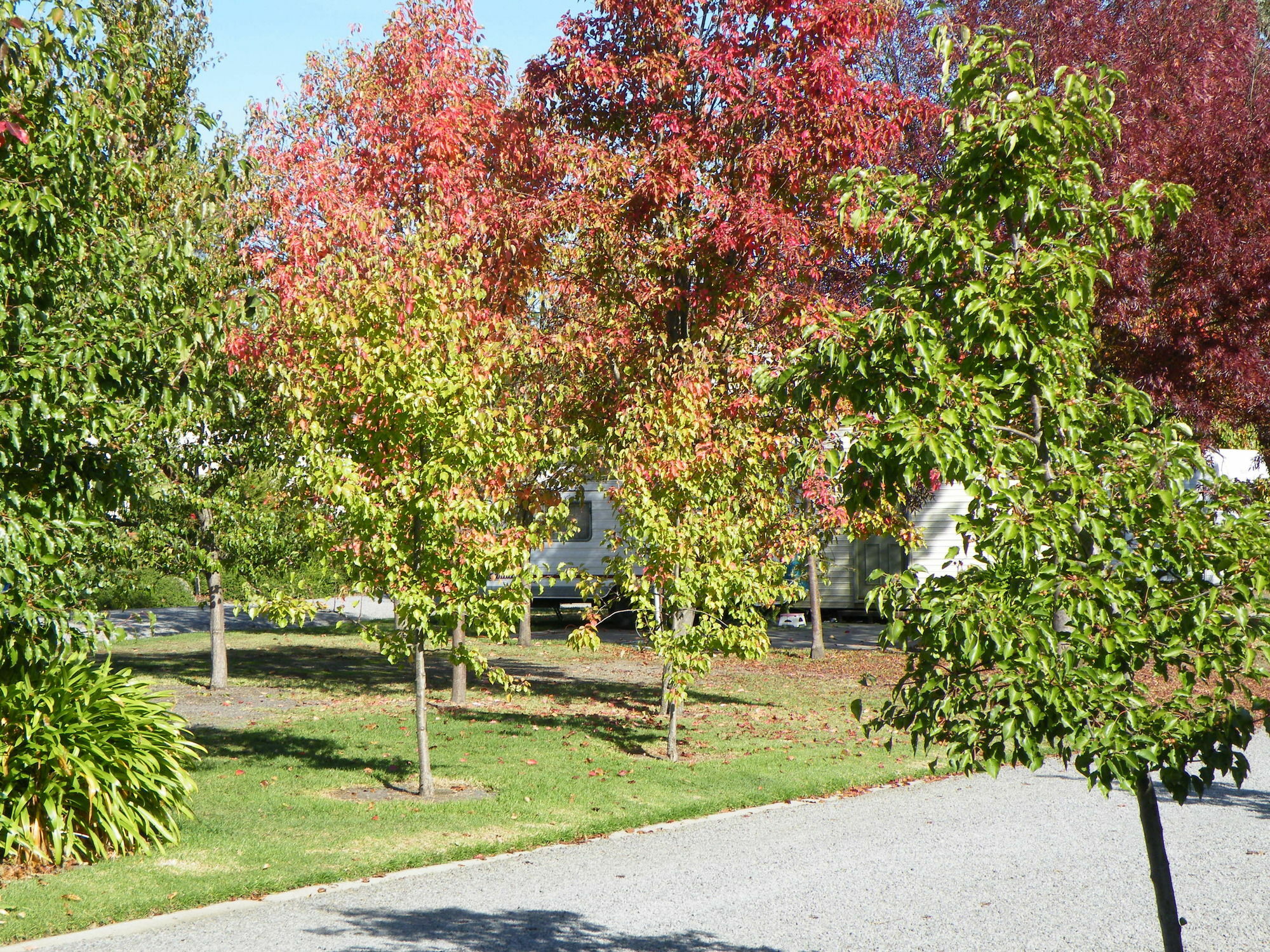 Lake Hamilton Motor Village And Caravan Park Exteriér fotografie