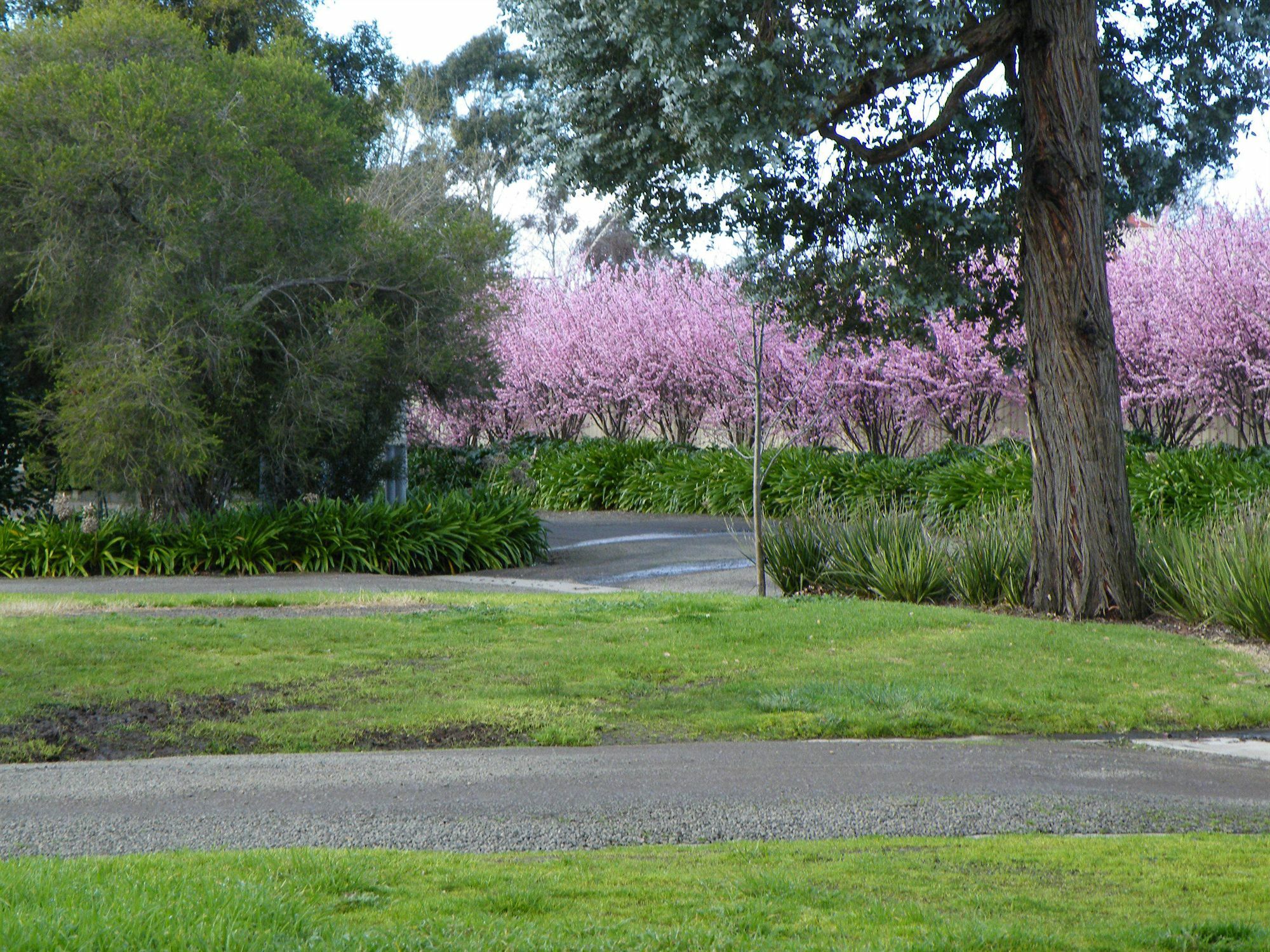 Lake Hamilton Motor Village And Caravan Park Exteriér fotografie
